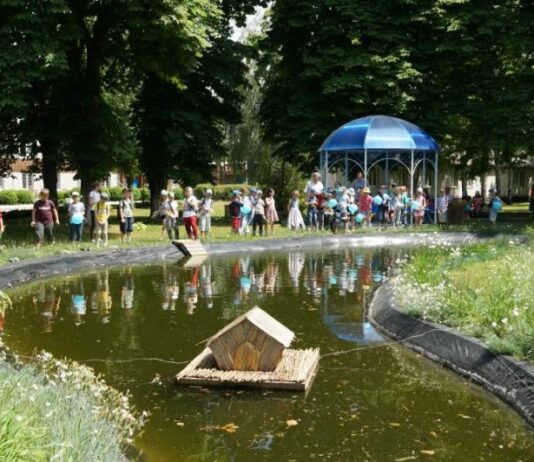 Карантин не завадить: в Черкасах пройдуть Дні сталої енергії