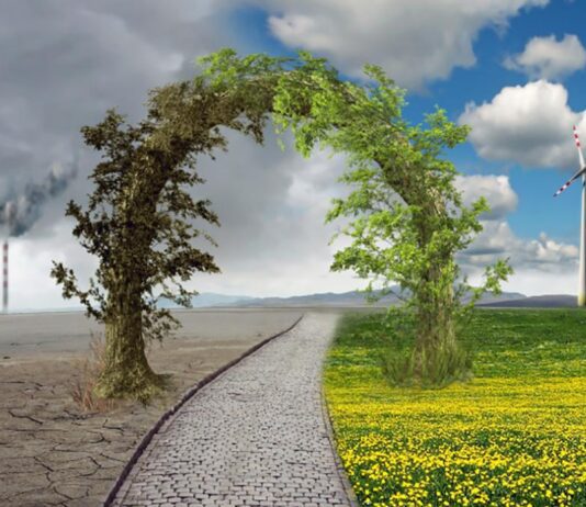 Способи уповільнення зміни клімату