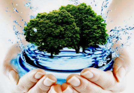 Екологічна безпека та збереження довкілля Черкащини: стратегічний план розвитку на 2020 рік