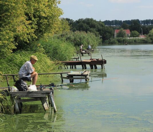 Екологічне лихо: чому в Тясмині гине риба та хто отруює річку
