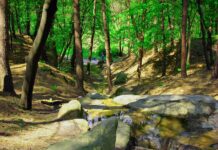 Туристичні Черкаси: статус "Черкаси місто-курорту" буде узгоджено