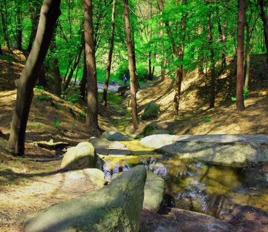 Туристичні Черкаси: статус "Черкаси місто-курорту" буде узгоджено