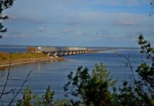 Черкасский Днепр загрязнен токсичными веществами