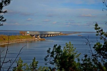 Черкаський Дніпро забруднений токсичними речовинами