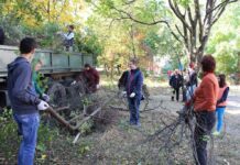 "Месяц чистоты": в Черкассах проведут День благоустройства
