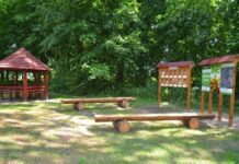 Еколого-просвітницька стежка з’явилася у Білозірському лісництві