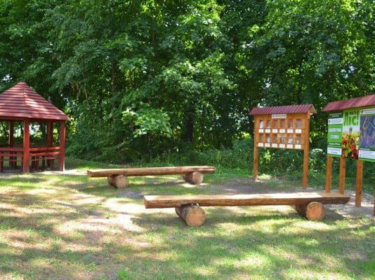 Еколого-просвітницька стежка з’явилася у Білозірському лісництві