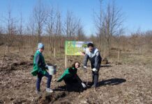 Активисты Черкасской области высадили дубовый лес в честь погибшего героя