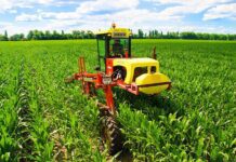 "Маїс" поступово відновлює поля