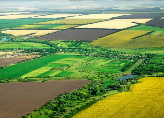 Держава повернула ділянки майже на 10 млн гривень