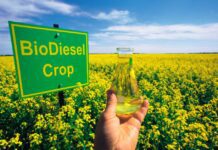 В Черкасах створюють альтернативне пальне