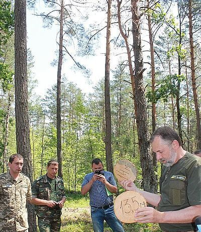 Євростандарти для лісового господарства
