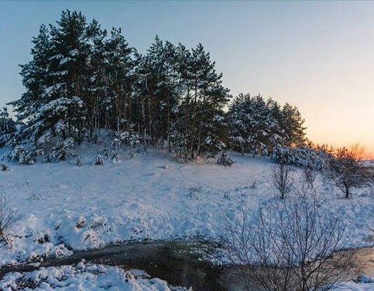 Облаштування Кам’янецького лісового джерела