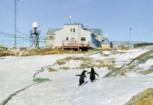 Чим займаються українці в Антарктиці