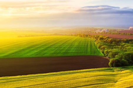 Експерти Держгеокадастру Черкащини опрацювали понад дві тисячі проектів землеустрою