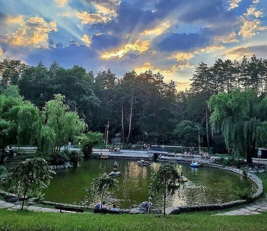 Казковий парк Сосновий бір в Черкасах