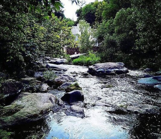 Одне з чудес України: Буцький каньйон на Черкащині