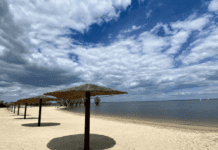 Черкаські пляжі перед купальним сезоном