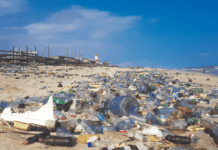 Чому жителі Черкащини повинні зменшити використання пластику в повсякденному житті