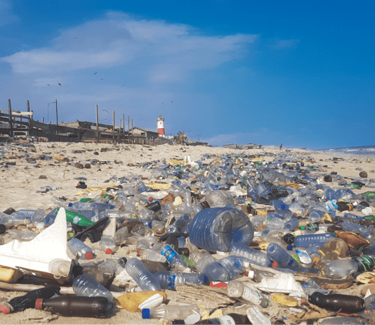 Чому жителі Черкащини повинні зменшити використання пластику в повсякденному житті