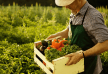 Як GPS допомагає черкаським фермерам