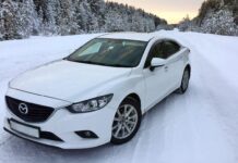 Зимние шины 225 55 R17 – как выбрать правильно