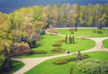 Флора Черкаської області: найпоширеніші рослини в регіоні