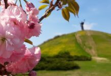 Де в Черкасах провести дозвілля на природі: 5 локацій міста та околиць