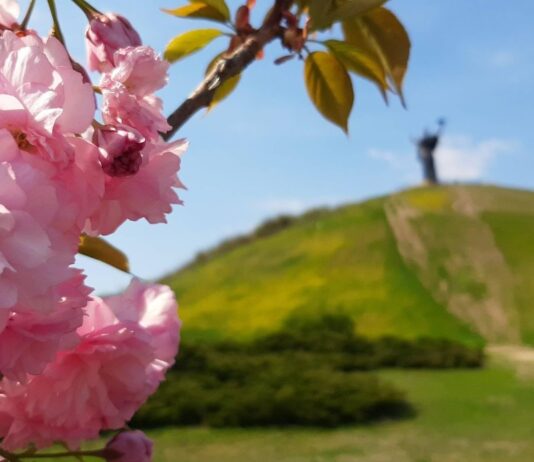 Де в Черкасах провести дозвілля на природі: 5 локацій міста та околиць