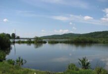 Сокровища и тайны Ирдынских болот