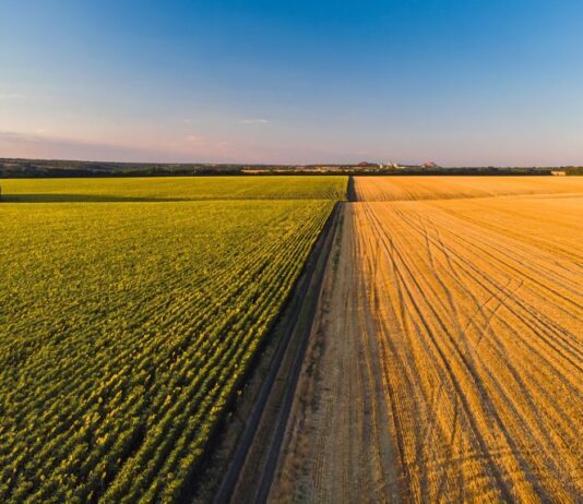Глобальне потепління та проблеми сільського господарства Черкаської області