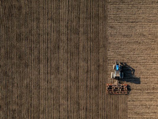 Забруднення ґрунтів Черкащини. Хто винен, і що робити?