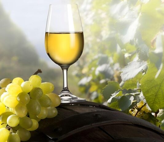 Виноробство у Черкаській області